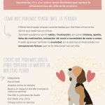 ¿Cómo superar la tristeza por la muerte de un perro? Consejos para sobrellevar la pérdida