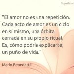 El amor en pocas palabras: breve pero significativo