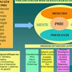 La conexión entre la mente y el cuerpo: enfermedades físicas vinculadas a las emociones