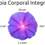 Terapia corporal integrativa: opiniones positivas y resultados sorprendentes